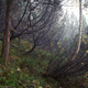 Illustration for article titled Can you spot the camouflaged snipers hiding in these photographs?